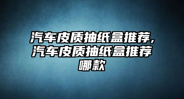 汽車皮質抽紙盒推薦,汽車皮質抽紙盒推薦哪款