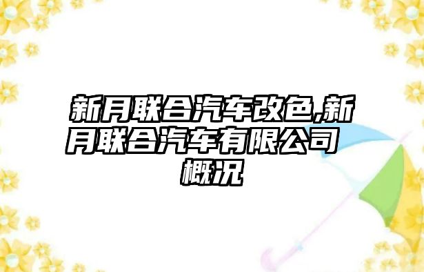 新月聯合汽車改色,新月聯合汽車有限公司 概況