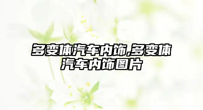 多變體汽車內飾,多變體汽車內飾圖片