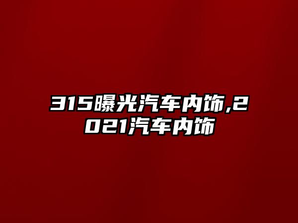 315曝光汽車內飾,2021汽車內飾