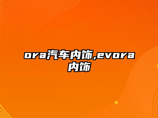 ora汽車內飾,evora內飾