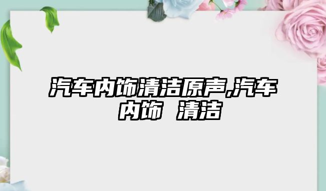 汽車內飾清潔原聲,汽車 內飾 清潔