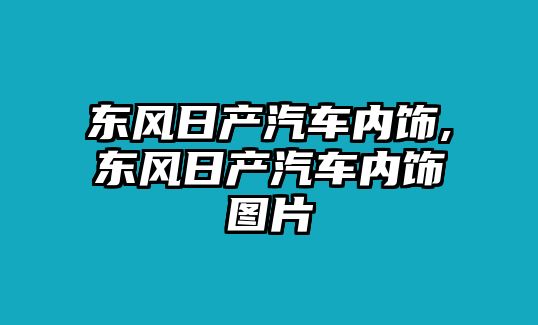 東風日產汽車內飾,東風日產汽車內飾圖片