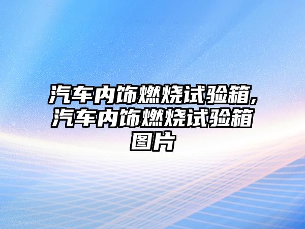 汽車內飾燃燒試驗箱,汽車內飾燃燒試驗箱圖片