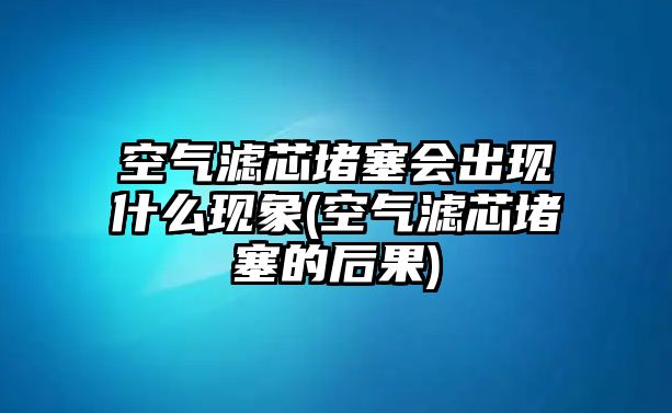 空氣濾芯堵塞會出現什么現象(空氣濾芯堵塞的后果)