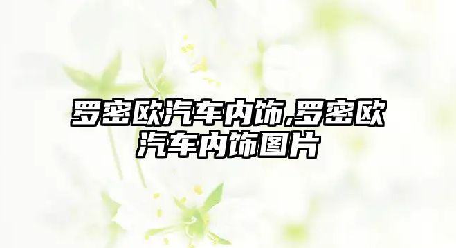 羅密歐汽車內飾,羅密歐汽車內飾圖片