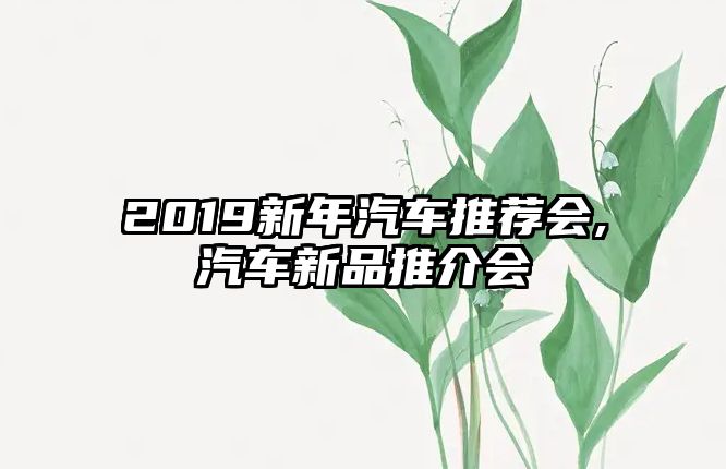 2019新年汽車推薦會,汽車新品推介會