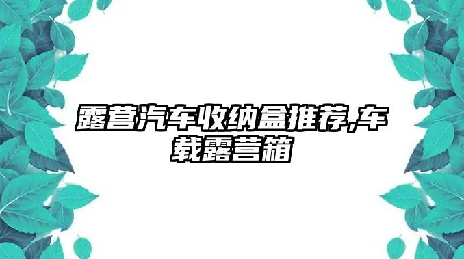 露營汽車收納盒推薦,車載露營箱