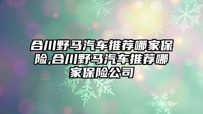 合川野馬汽車推薦哪家保險,合川野馬汽車推薦哪家保險公司