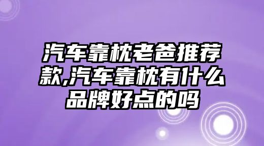 汽車靠枕老爸推薦款,汽車靠枕有什么品牌好點的嗎