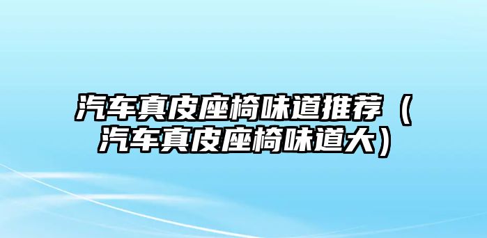 汽車真皮座椅味道推薦（汽車真皮座椅味道大）