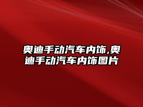 奧迪手動汽車內飾,奧迪手動汽車內飾圖片