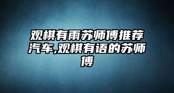 觀棋有雨蘇師傅推薦汽車,觀棋有語的蘇師傅