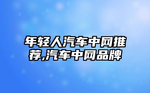 年輕人汽車中網推薦,汽車中網品牌