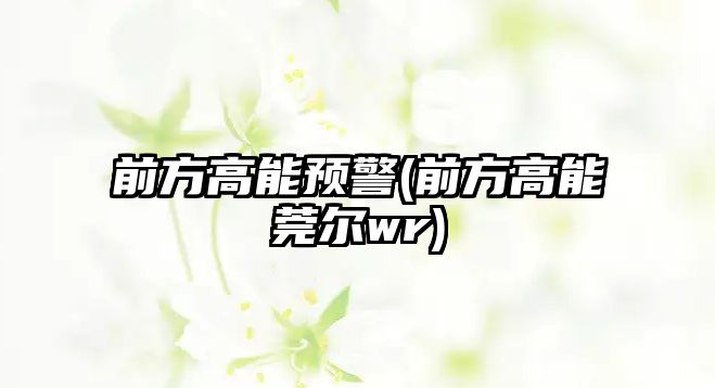 前方高能預警(前方高能莞爾wr)