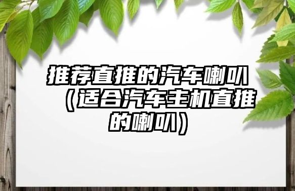 推薦直推的汽車喇叭（適合汽車主機直推的喇叭）