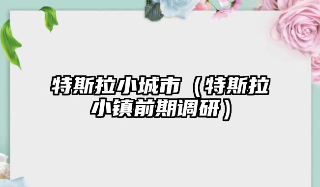 特斯拉小城市（特斯拉小鎮前期調研）