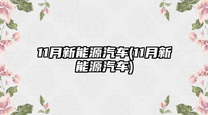 11月新能源汽車(11月新能源汽車)