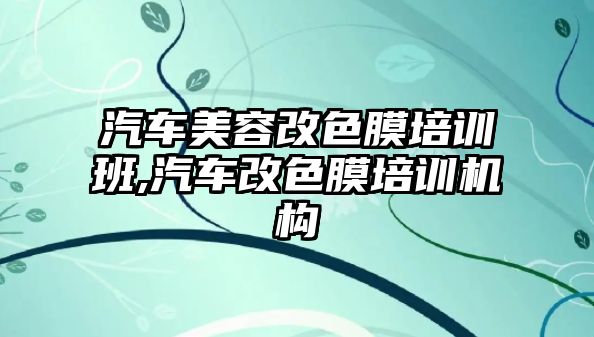 汽車美容改色膜培訓班,汽車改色膜培訓機構