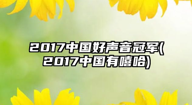 2017中國好聲音冠軍(2017中國有嘻哈)