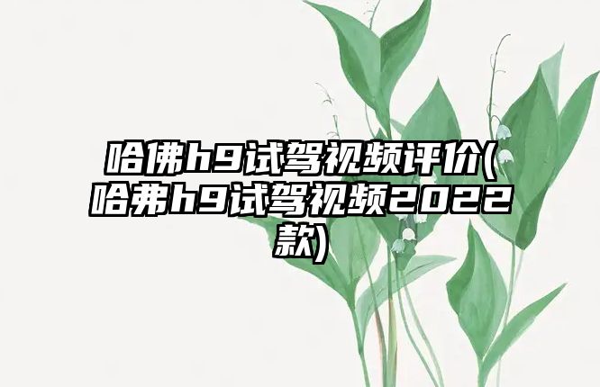 哈佛h9試駕視頻評(píng)價(jià)(哈弗h9試駕視頻2022款)