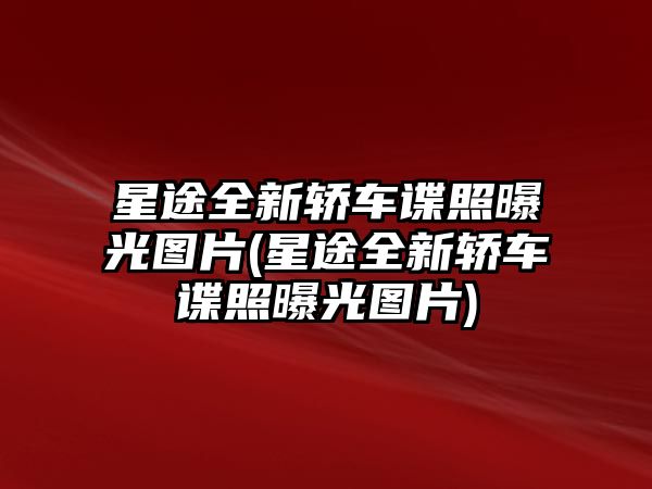 星途全新轎車諜照曝光圖片(星途全新轎車諜照曝光圖片)