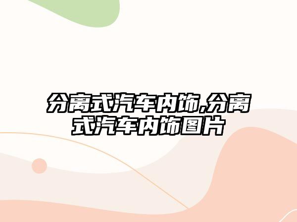 分離式汽車內飾,分離式汽車內飾圖片