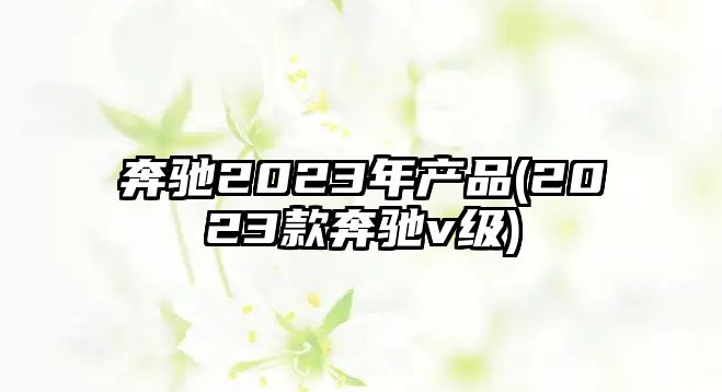 奔馳2023年產(chǎn)品(2023款奔馳v級)