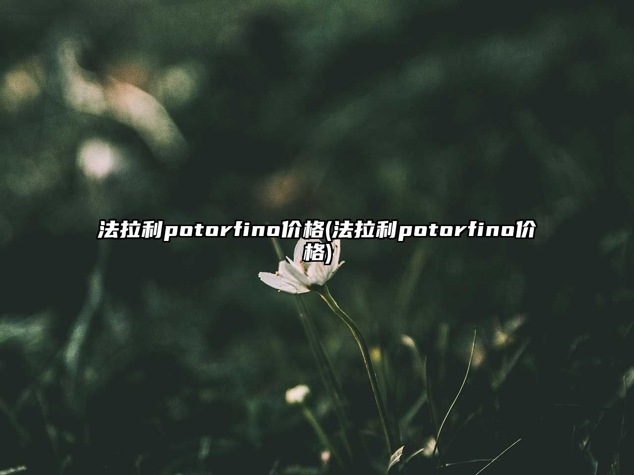 法拉利potorfino價格(法拉利potorfino價格)