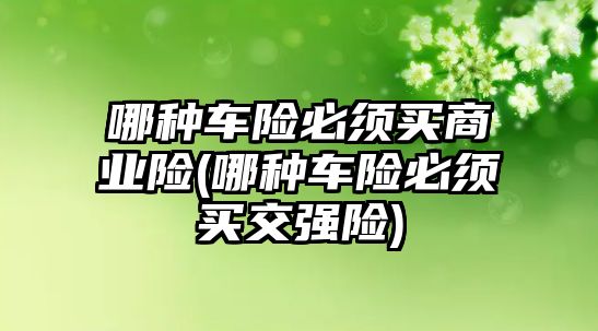 哪種車險必須買商業險(哪種車險必須買交強險)