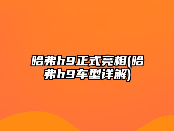 哈弗h9正式亮相(哈弗h9車型詳解)