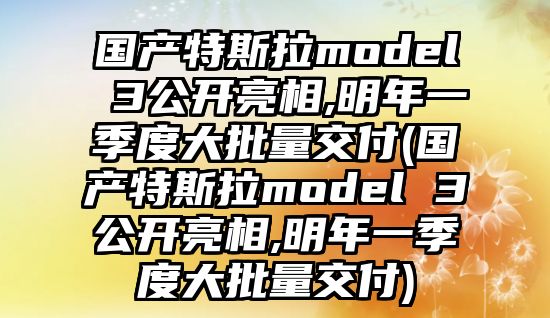 國產特斯拉model 3公開亮相,明年一季度大批量交付(國產特斯拉model 3公開亮相,明年一季度大批量交付)