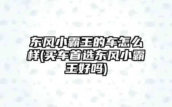 東風小霸王的車怎么樣(買車首選東風小霸王好嗎)