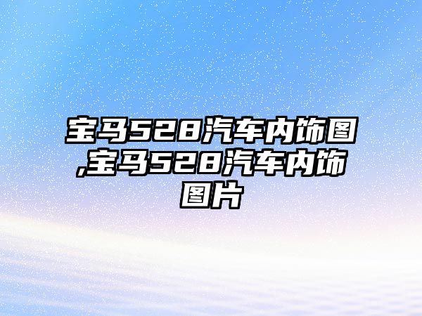 寶馬528汽車內飾圖,寶馬528汽車內飾圖片