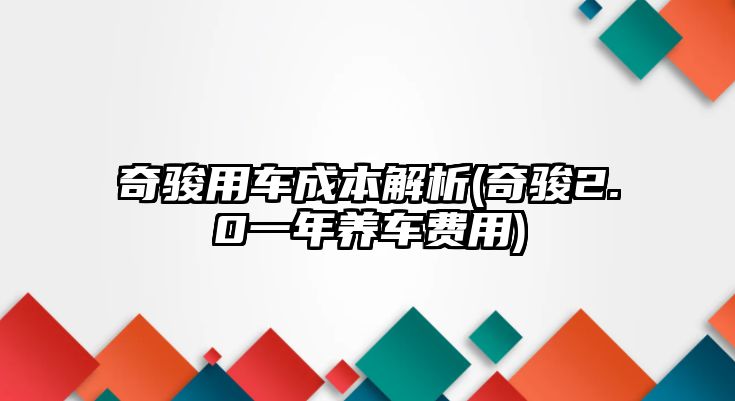 奇駿用車成本解析(奇駿2.0一年養車費用)