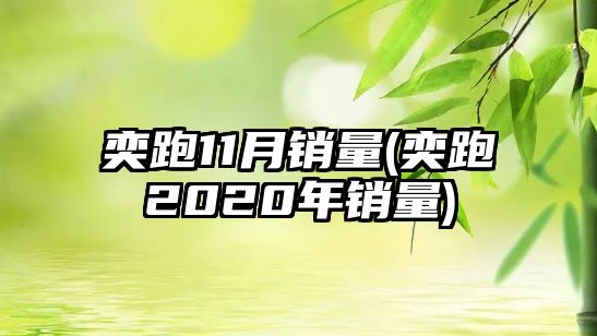 奕跑11月銷量(奕跑2020年銷量)