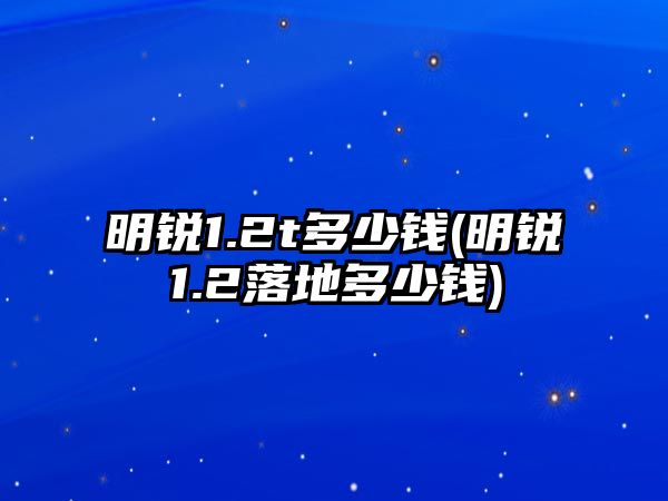 明銳1.2t多少錢(明銳1.2落地多少錢)