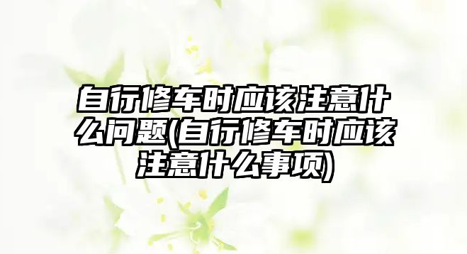 自行修車時應該注意什么問題(自行修車時應該注意什么事項)