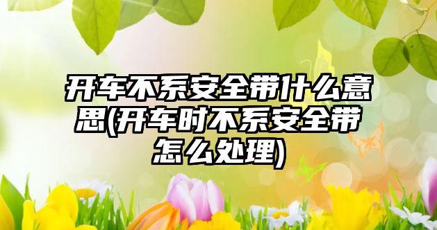 開車不系安全帶什么意思(開車時不系安全帶怎么處理)