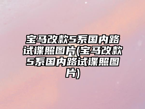 寶馬改款5系國內路試諜照圖片(寶馬改款5系國內路試諜照圖片)