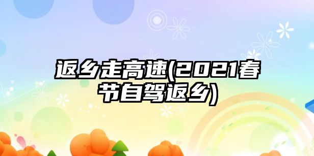 返鄉走高速(2021春節自駕返鄉)