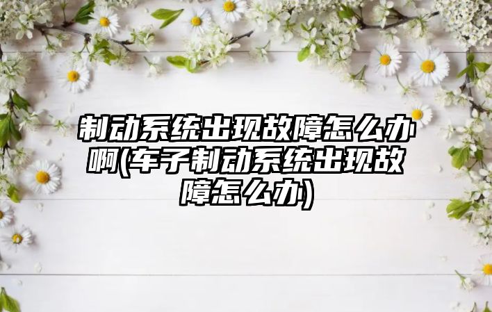 制動系統出現故障怎么辦啊(車子制動系統出現故障怎么辦)