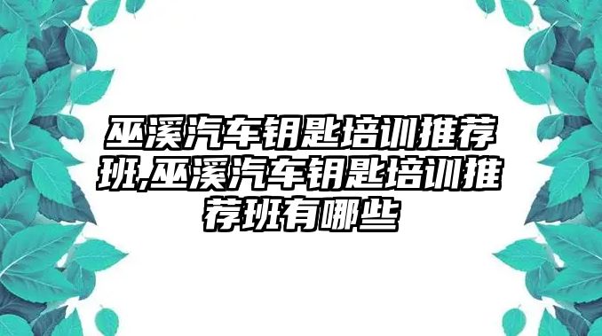 巫溪汽車鑰匙培訓推薦班,巫溪汽車鑰匙培訓推薦班有哪些