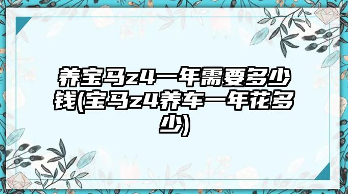 養寶馬z4一年需要多少錢(寶馬z4養車一年花多少)