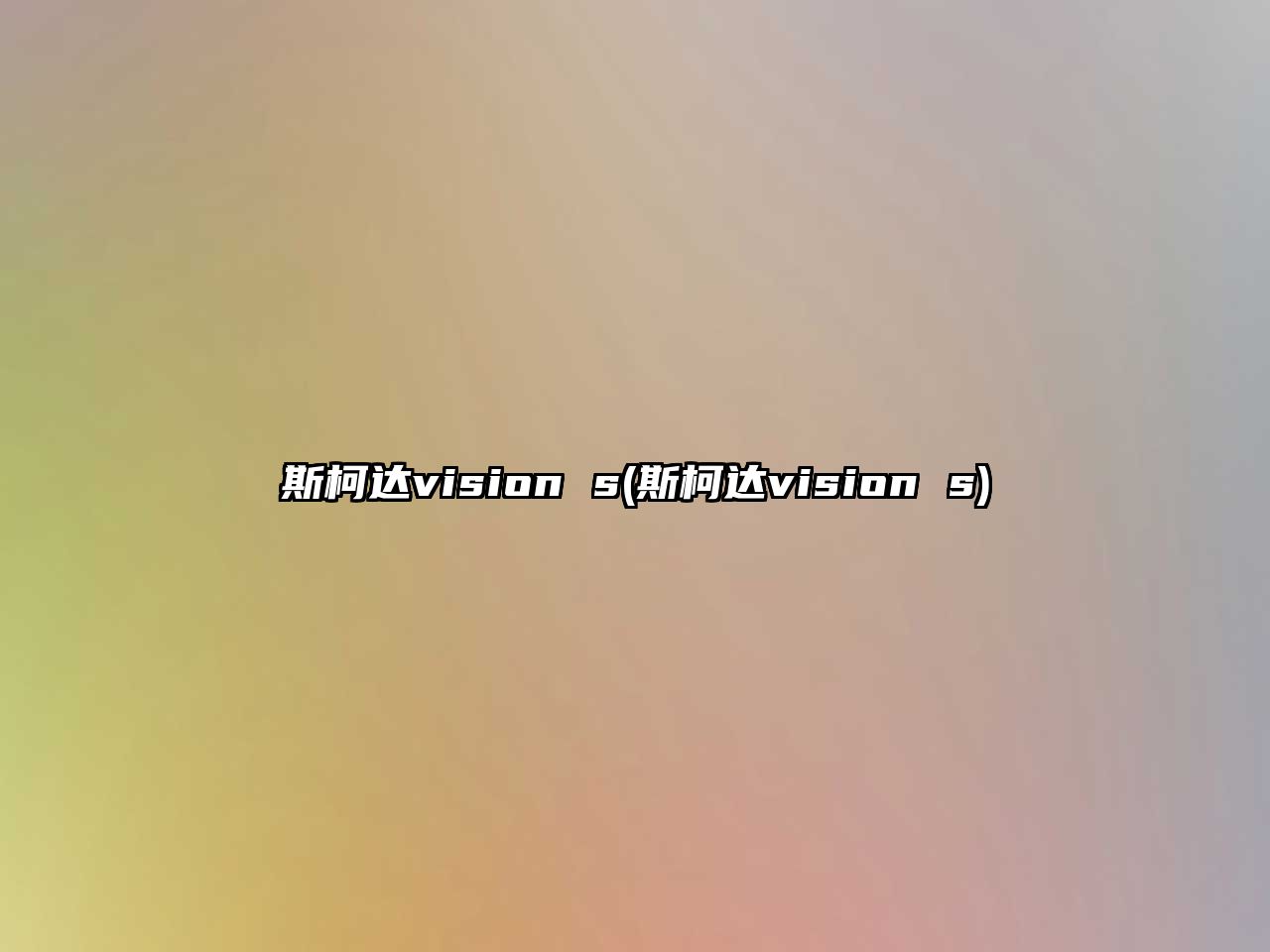 斯柯達(dá)vision s(斯柯達(dá)vision s)