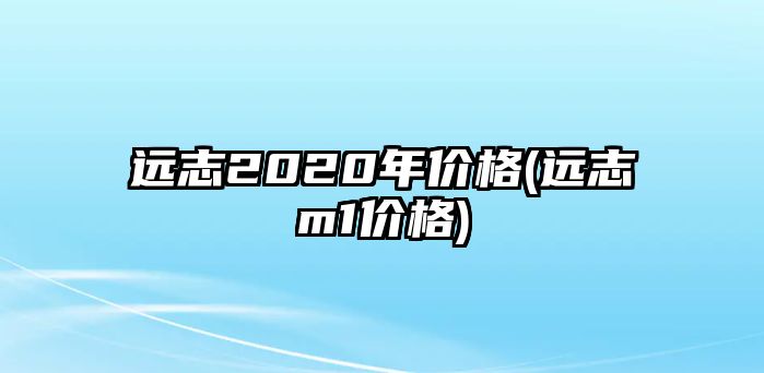 遠(yuǎn)志2020年價格(遠(yuǎn)志m1價格)