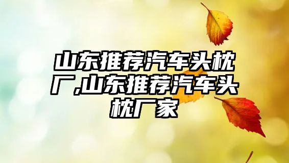 山東推薦汽車頭枕廠,山東推薦汽車頭枕廠家