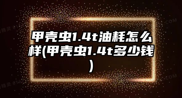 甲殼蟲1.4t油耗怎么樣(甲殼蟲1.4t多少錢)