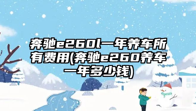 奔馳e260l一年養車所有費用(奔馳e260養車一年多少錢)