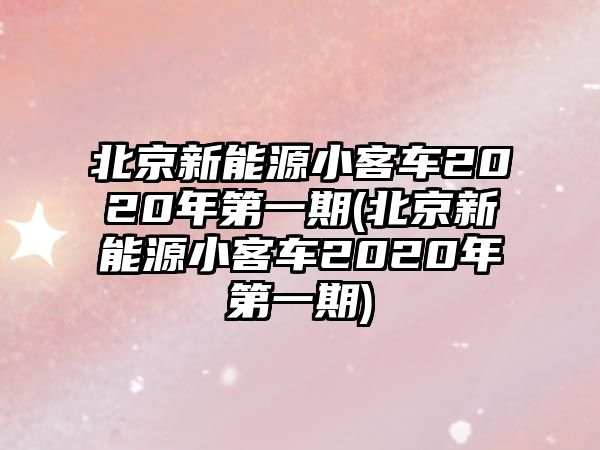 北京新能源小客車2020年第一期(北京新能源小客車2020年第一期)